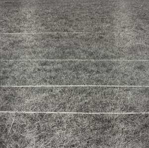 perspective-correction-4-horizontal-lines