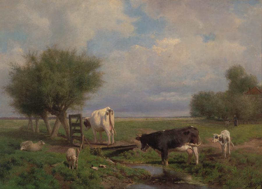 Koeien en schapen