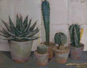 stilleven-met-cactussen