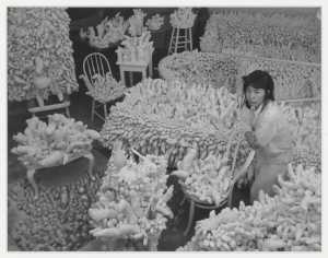 foto-van-yayoi-kusama-s-compulsion-furniture-accumulation-circa-1964