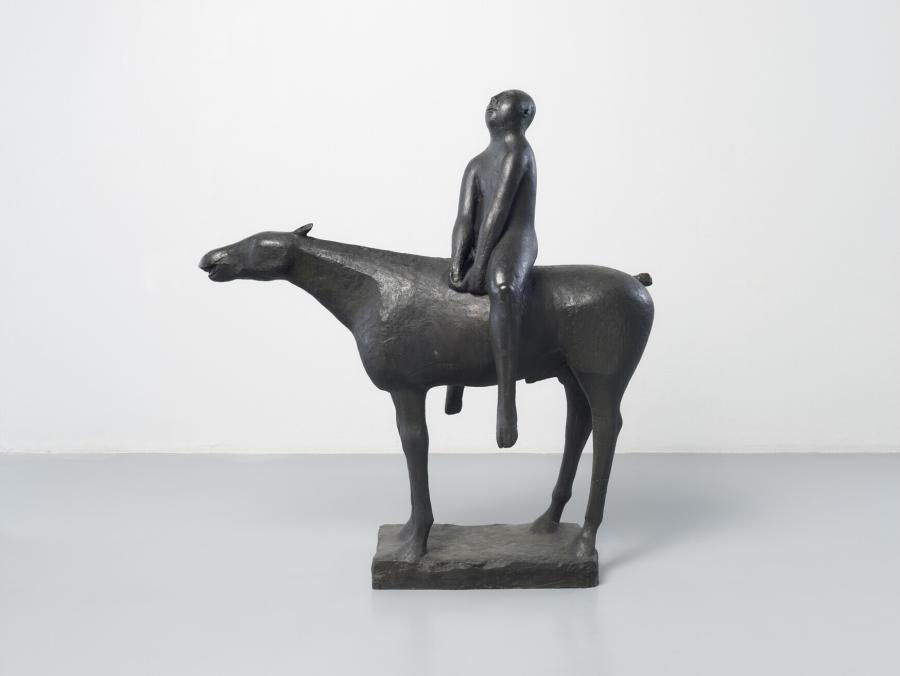 Il cavaliere 