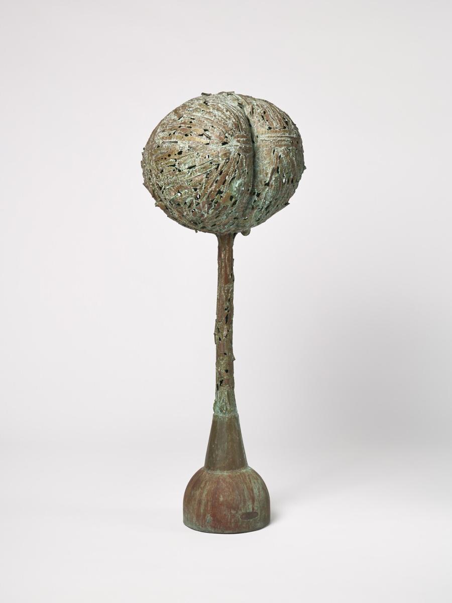 Seed (No 7) 
