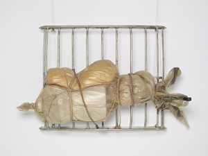 package-on-luggage-rack-verpakt-object-op-bagagerek
