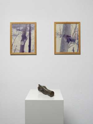 mano-e-albero-continuera-a-crescere-tranne-che-in-quel-punto