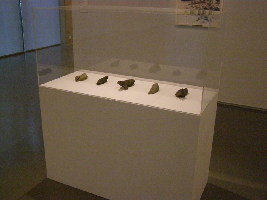 Five Examples of the Stone-mouse (Vijf voorbeelden van de Stone-mouse)