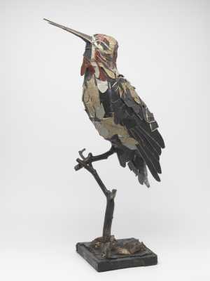 giant-hummingbird