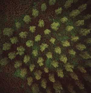 untitled-132401