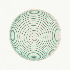 rotoreliefs-optische-schijven
