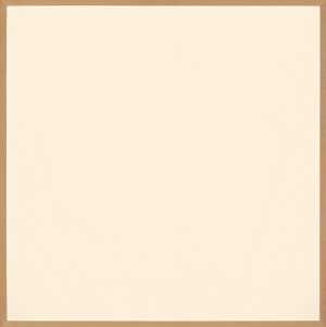 pure-polygon-series