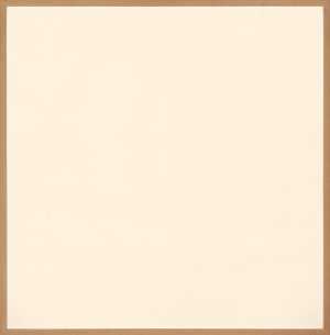 pure-polygon-series