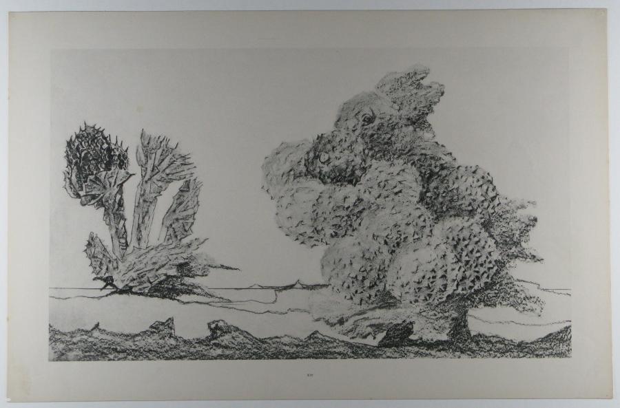 De start van de kastanje
