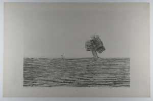 les-pampas