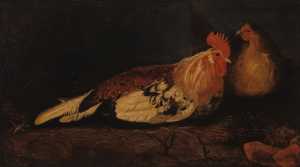 een-haan-en-een-hen