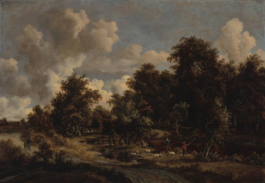Boomrijk landschap