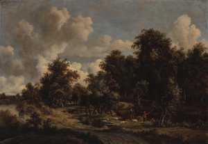 boomrijk-landschap