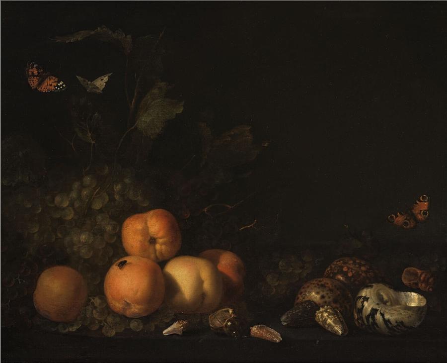 Still Life with Fruit and Shells