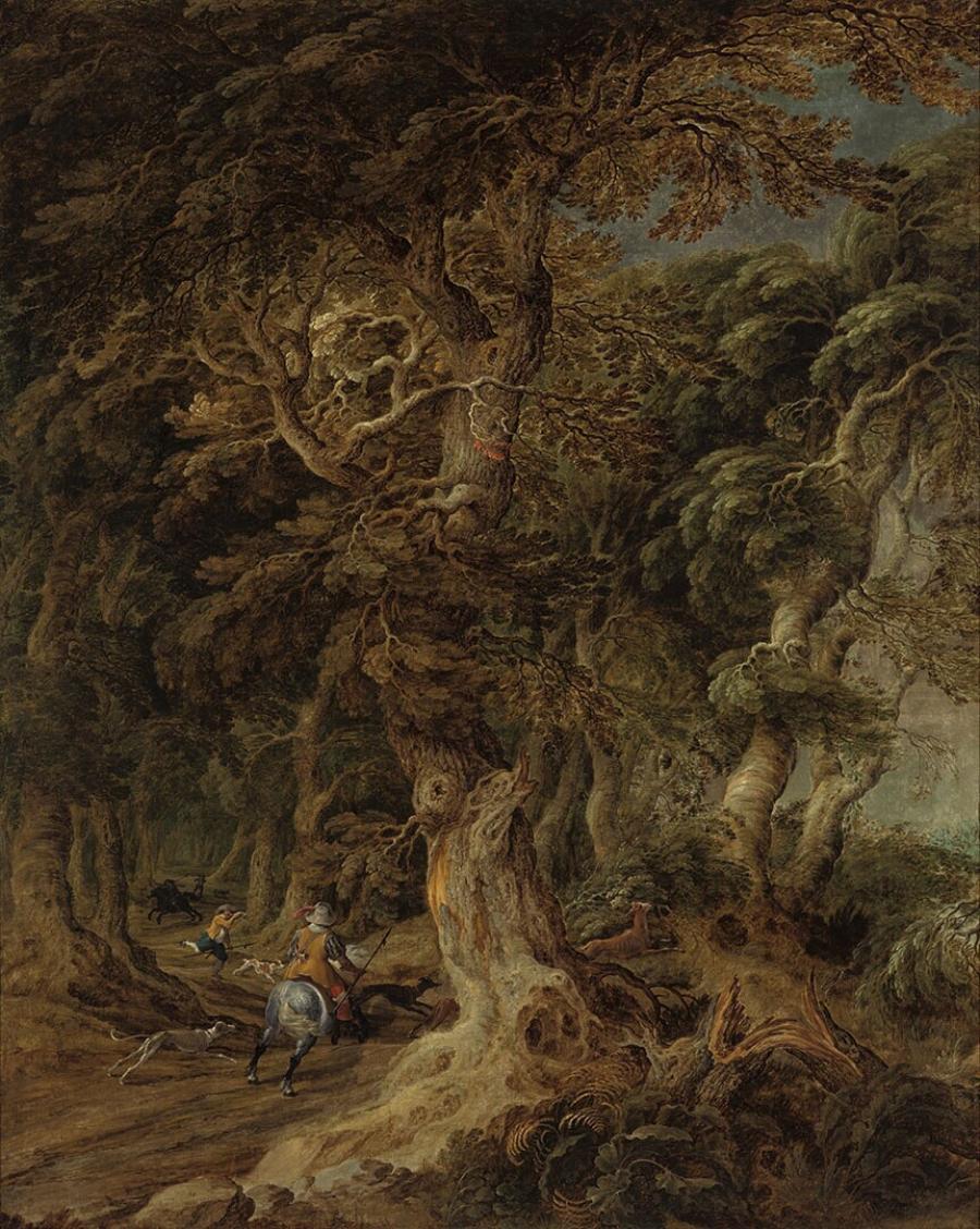 Forest View with Large Oak