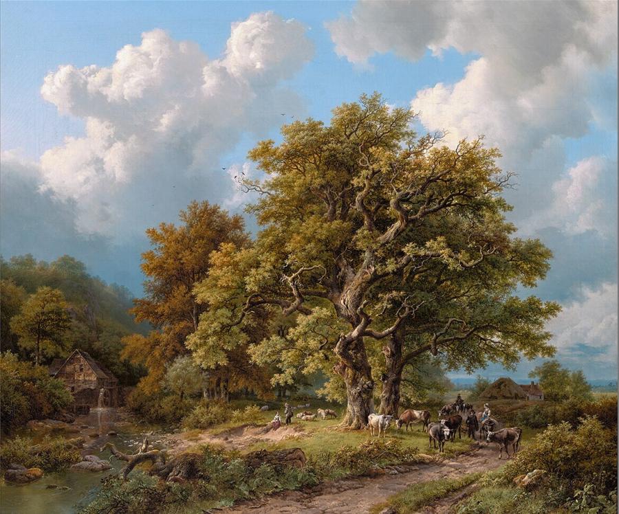 Zomerlandschap