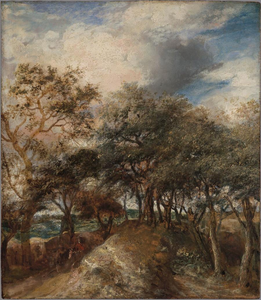 Dune landscape with trees