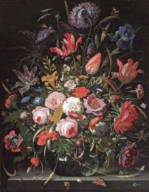 TMSFoto/OK/1526.jpg
