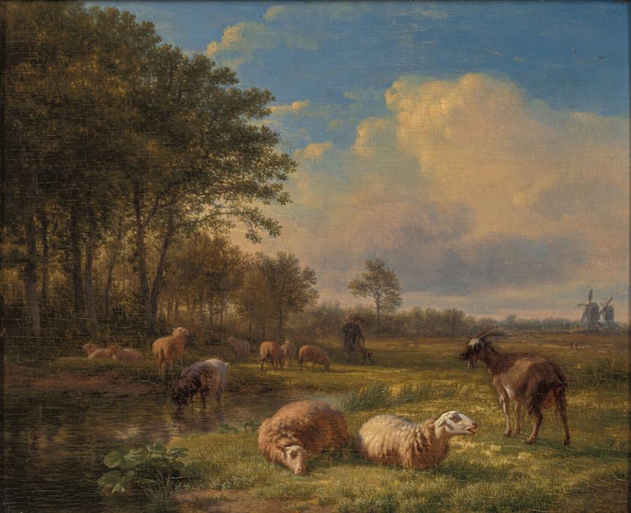 Vlak landschap met bomen