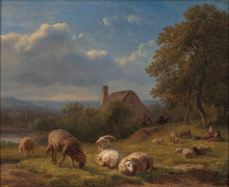 Heuvelachtig landschap