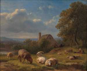 heuvelachtig-landschap