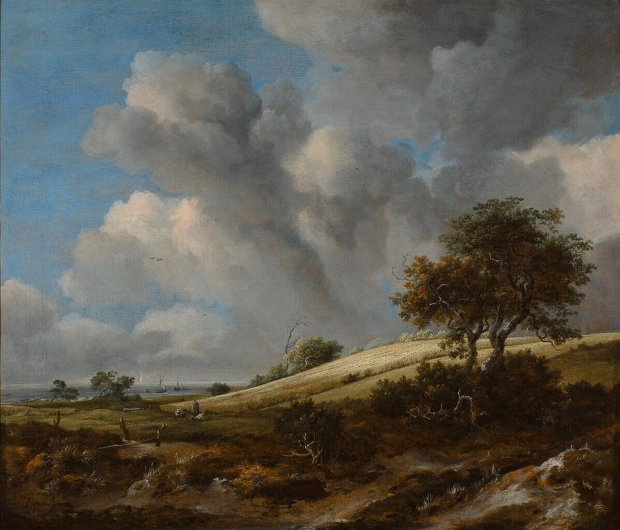Het korenveld, op de achtergrond de Zuiderzee