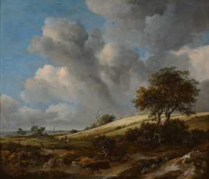 a-cornfield-in-the-background-the-zuiderzee