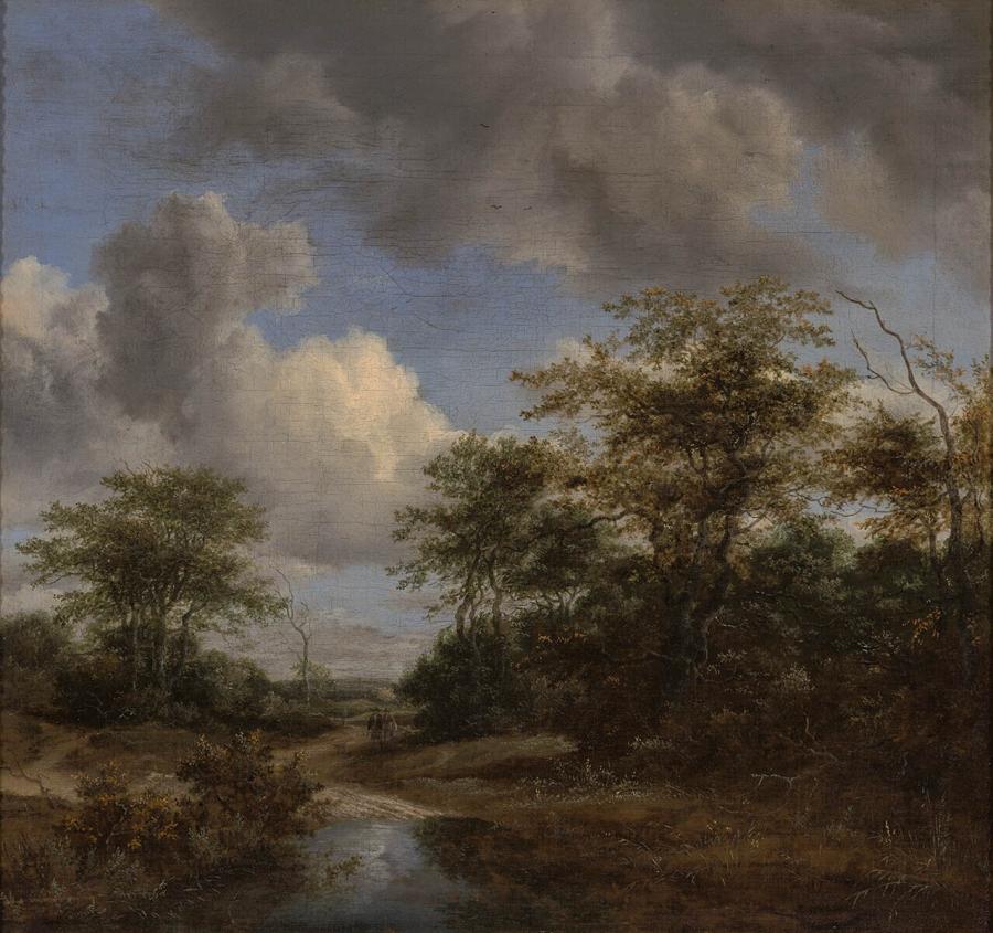 Zandweg tussen geboomte