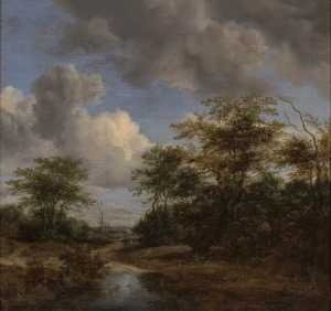 zandweg-tussen-geboomte