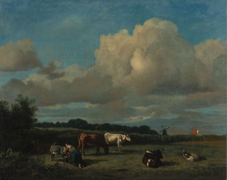 Dutch landscape with cattle