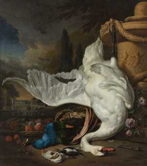 dead-swan