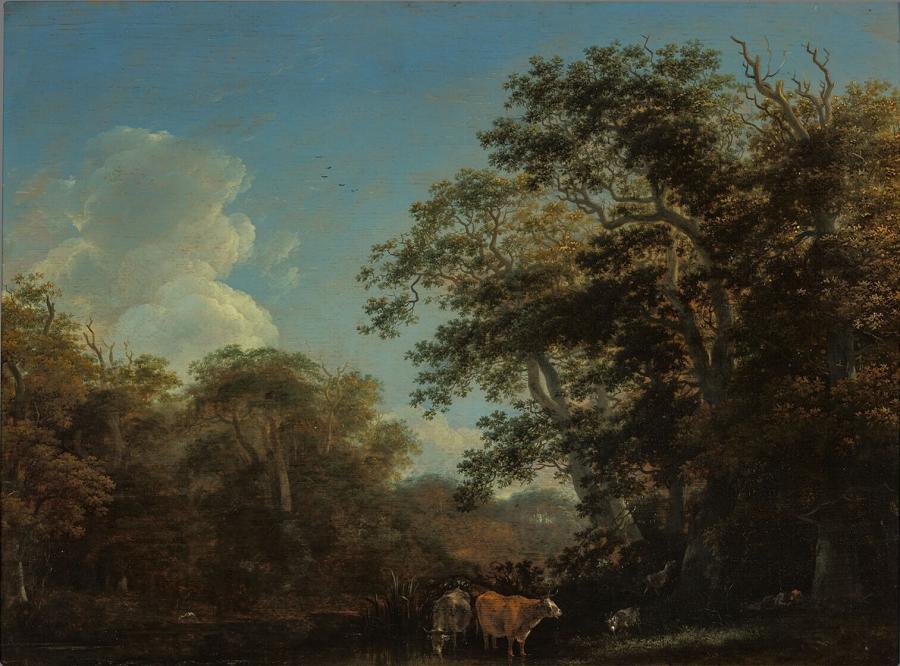 Forest view with cattle by a mud-flat