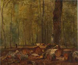 boslandschap