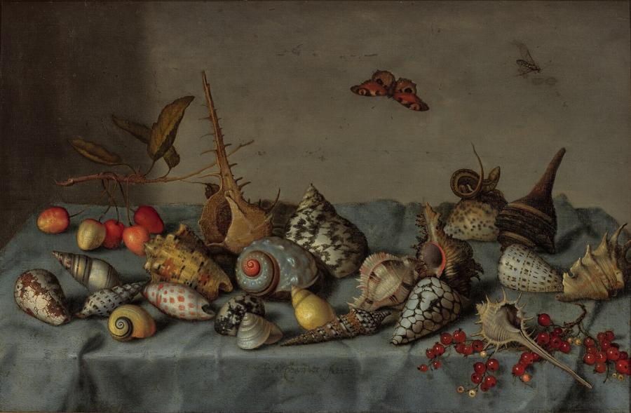 Still Life with Shells