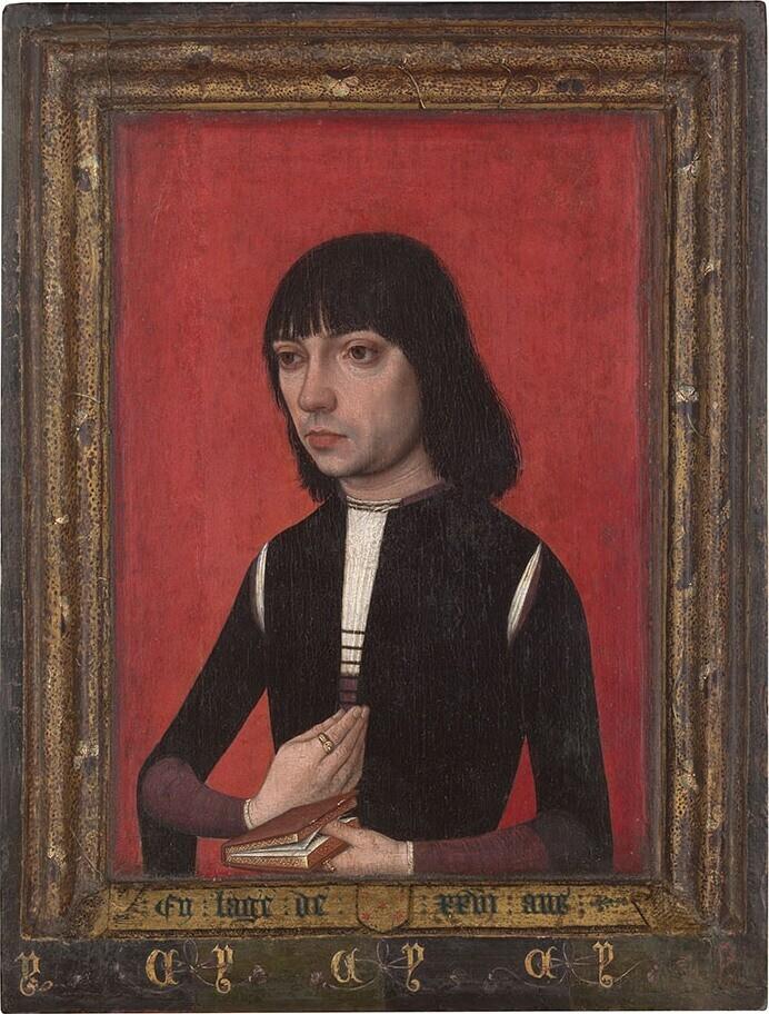 Portret van een jonge man uit het geslacht Fonseca