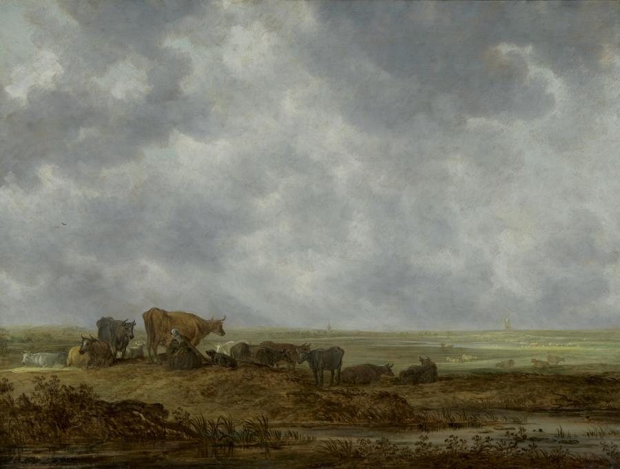View over a Flat Landscape