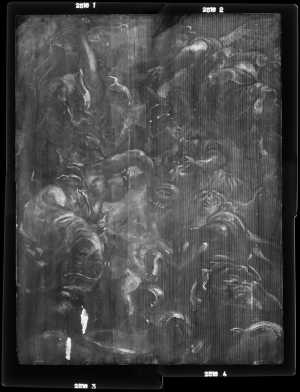 TMSFoto/OK/2516 (OK)_XRF_STITCH_RKG2020_06-11.jpg