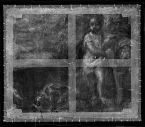 TMSFoto/OK/2569 (OK)_XRF_STITCH_RKG2020_06-11.jpg