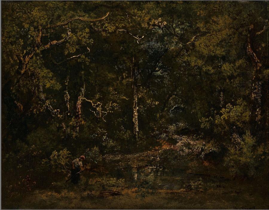 Forest View in Fontainebleau