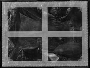 TMSFoto/OK/2688 (OK)_XRF_STITCH_RKG2020_06-11.jpg