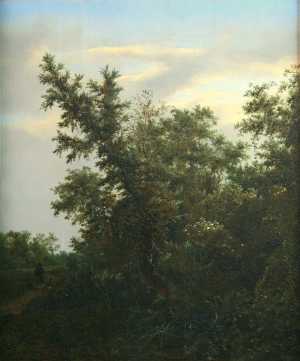 TMSFoto/OK/3193 (OK)_1.jpg