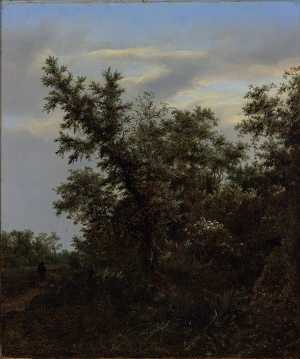 bosgezicht