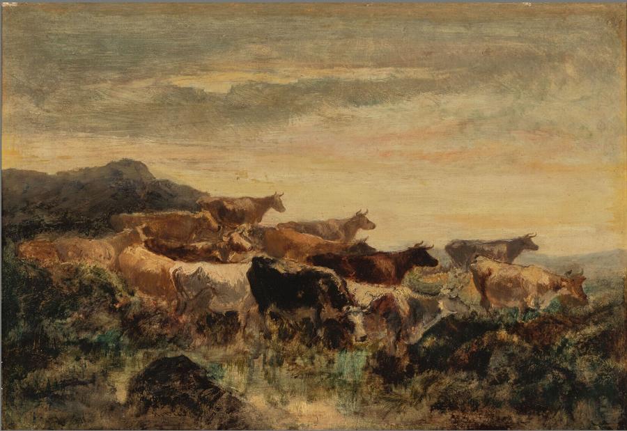 Cows at Sunset