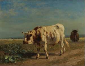 de-witte-stier