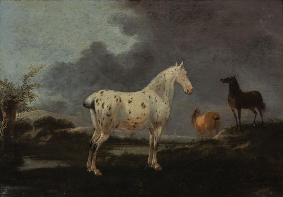 Landschap met appelschimmel