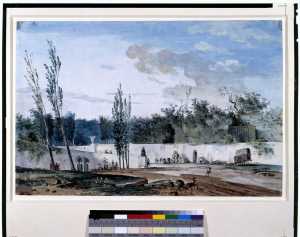 view-of-a-walled-garden