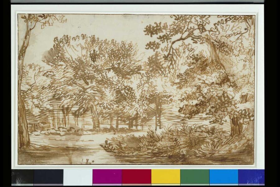 Study of a Wood