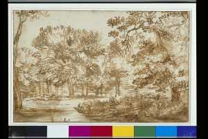 boslandschap